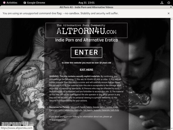 Alt Porn 4 U Paypal Account