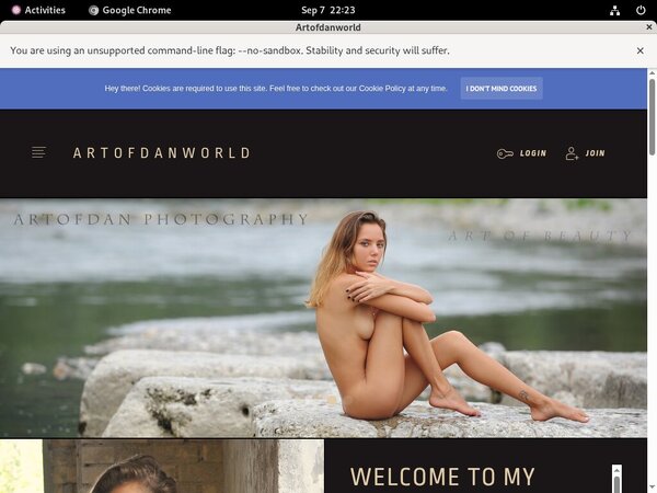 Artofdan Free Trial Pass Artofdan Free Trial Pass