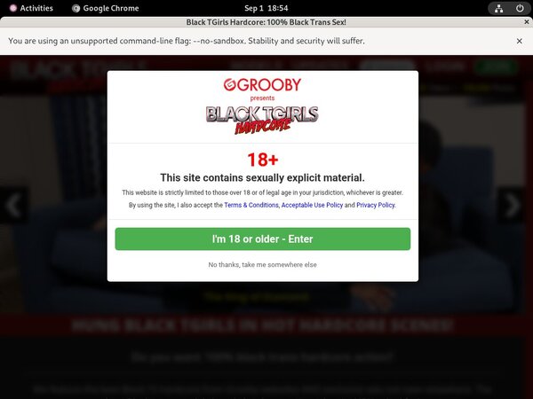 Black TGirls Hardcore Hd Free Black TGirls Hardcore Hd Free