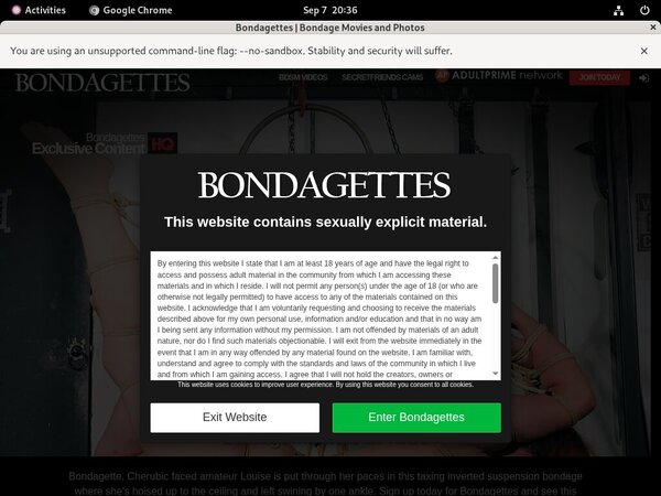 Discount Bondagettes.com Link
