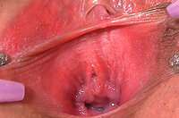 Discount Gape My Pussy Coupon s0 Discount Gape My Pussy Coupon s0