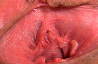 Discount Gape My Pussy Coupon s1 Discount Gape My Pussy Coupon s1