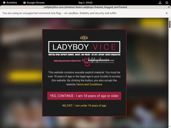 Free Account Vice Ladyboy