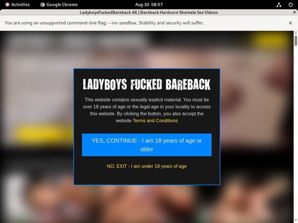 Free Ladyboysfuckedbareback.com Discount Offer