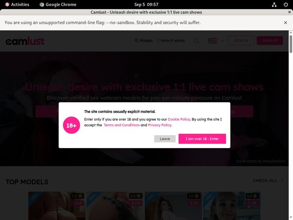 Free Watch Camlust.com
