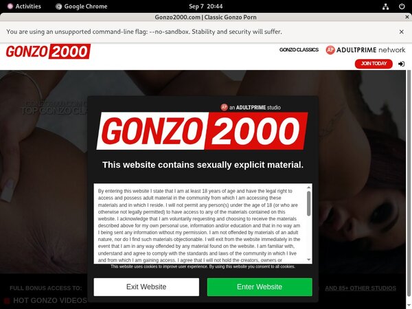 Gonzo2000 Site Gonzo2000 Site