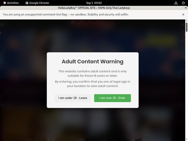 Helloladyboy Porn Stars