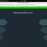 Kitty’sKuriosities Premium Account