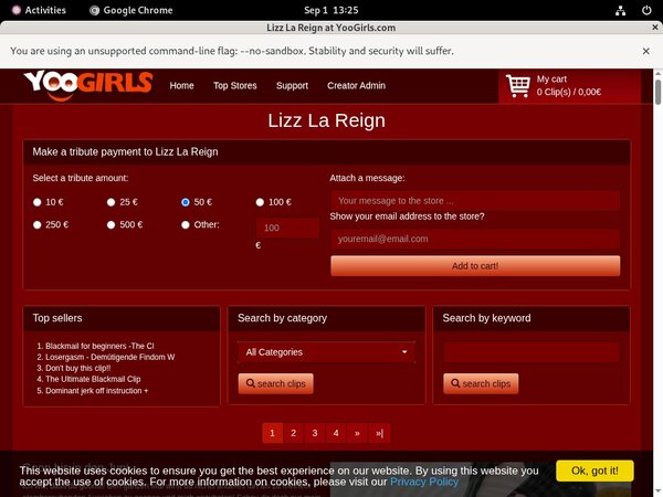 Lizz La Reign Passworter Lizz La Reign Passworter