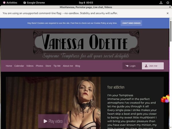 Missvanessa.modelcentro.com Free Login And Password Missvanessa.modelcentro.com Free Login And Password