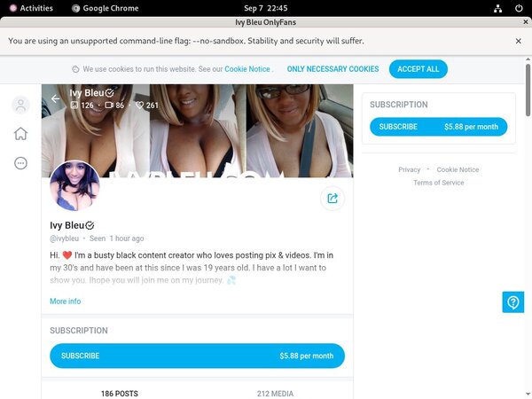 Onlyfans.com Siterip