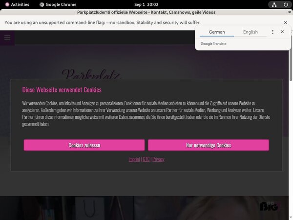 Parkplatzluder19 Paypal Access