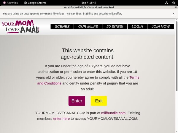 Paypal With Yourmomlovesanal.com