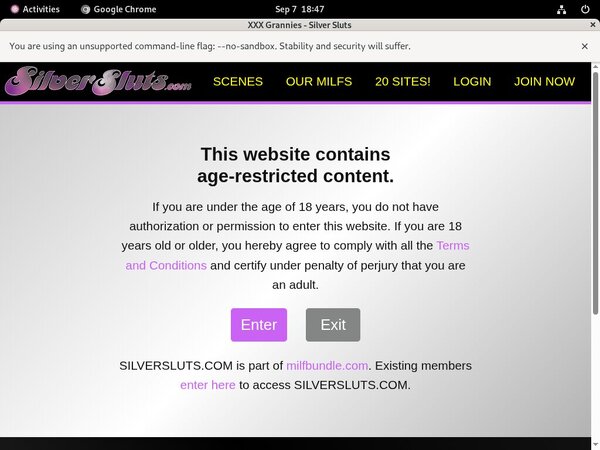 Silversluts Free Tour