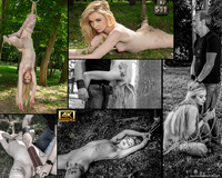 Subspace Land Free Trial Price s3 Subspace Land Free Trial Price s3