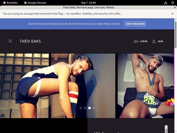 Theooaks.modelcentro.com 