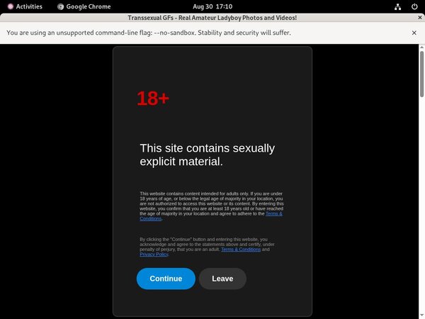 Transsexualgfs.com Porns