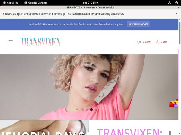 Transvixen Channel