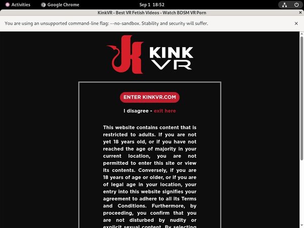 VR Kink Join