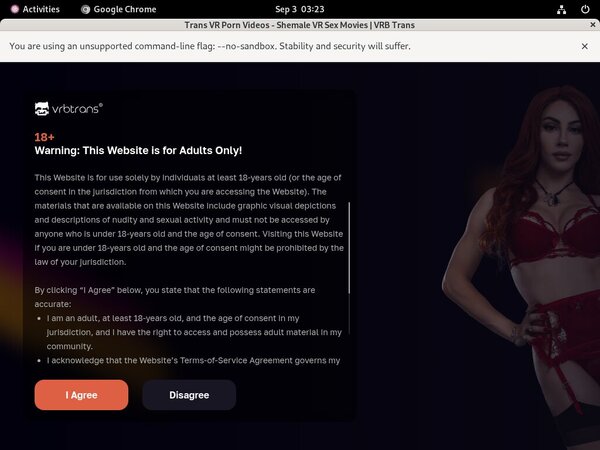 Vrbtrans.com Giropay