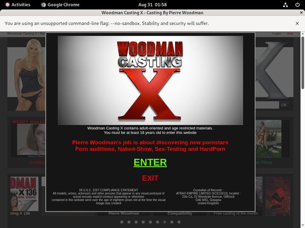 Woodmancastingx Webcam