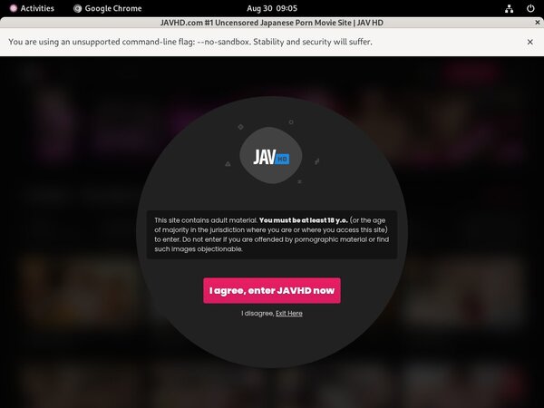 Free Account To Javhd.com