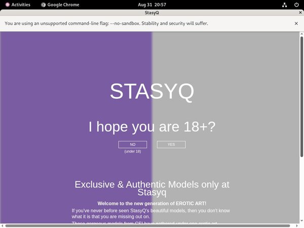 Stasyq.com Price