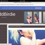 BaddBirdie Free Trial Access BaddBirdie Free Trial Access