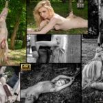 Subspace Land Free Trial Promotion Subspace Land Free Trial Promotion
